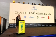 FDM_D3_CHAMBERLINK0027