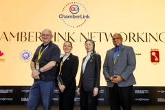 FDM_D3_CHAMBERLINK0095
